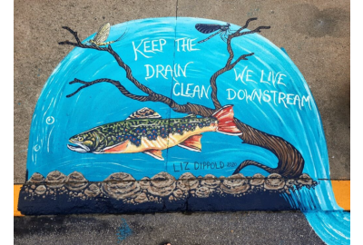 Up stream art project liz dippold PA Wilds