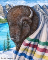 The Wisdom Keeper buffalo animal portrait art print