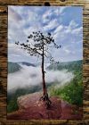 Barbour Rock - Tioga State Forest Postcard